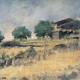 184 Paesaggio campestre