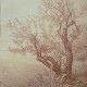 323 Paesaggio con albero