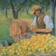 71 Scarto dei limoni