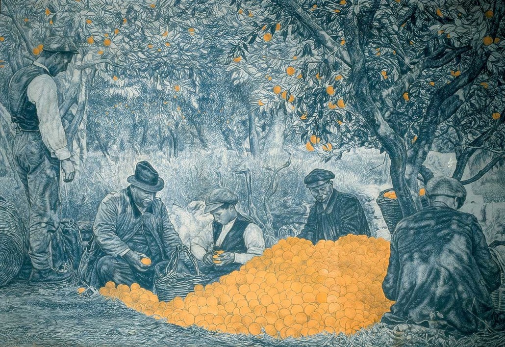 81 Scarto dei limoni